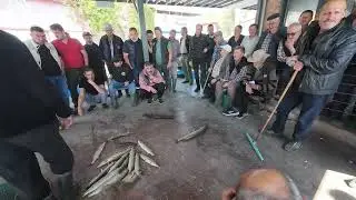BALIK MEZATI ULUABAT GÖLÜ GÖLYAZI 2025 BURSA - TURNA BALIĞI - PİKE - FİSH - HUNTER77TEAM
