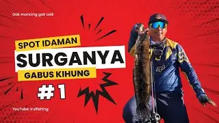 Spot idaman pecinta gabus kihung #1