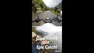 Hidden Fishing Spot Near Bangalore! 🐟 Epic Road Trip Adventure 🚗