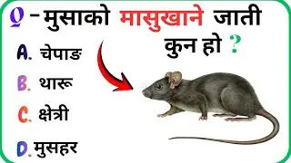 Gk Questions || Gk nepali || Nepali gk questions answers #nepaligk  #nepalfacts  #loksewagk 