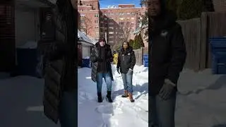 Alley Clearing Update Ahead of Trash and Recycling Collection