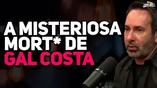 AS TEORIAS SOBRE A MORT3 DE GAL COSTA