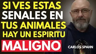 PADRE CARLOS SPAHN REVELA: 7 SE&Ntilde;ALES EN PERROS Y GATOS QUE PODR&Iacute;AN VENIR DE DIOS