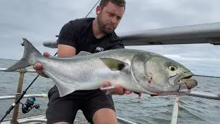 The Fall Run is on! 9/17/25 Surf Fishing Long Island, NY