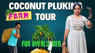 Tender coconut plucking FARM tour | FUN OVERLOADED | Rohini stories #farming #farmer