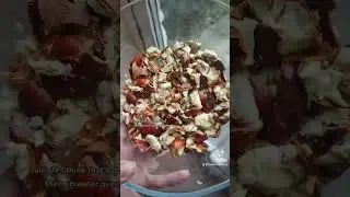 Making soap out of Conkers #foraging #conkers #soap #naturalsoap #liquidsoap