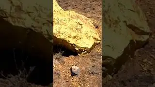 Gold Mountain Congo story 🥺 #viral #youtubeshorts