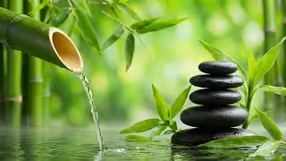 Beautiful Relaxing Music 🎹 Nature Sounds, Meditation Music, Spa Music, Calming Piano, Bamboo