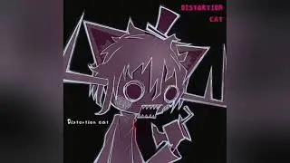 DISTORTION CAT — оОоОоОо