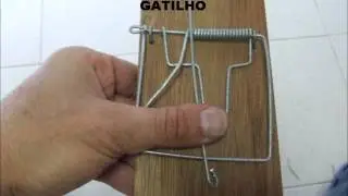 Ratoeira Dupla (Double Mouse Trap)