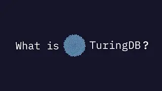 TuringDB - A new fast graph database engine - The Engineering Discussion @CTO Remy Boutonnet