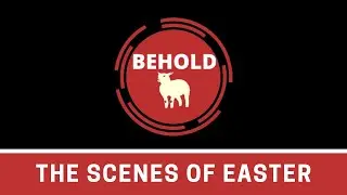 Behold the Scenes of Easter: Teaching in the Temple