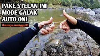 Auto Full Strike! Ikan Jadi Lebih Galak Pake Stelan Seperti Ini Mantaapp!!! | Mancing Wader Kepek