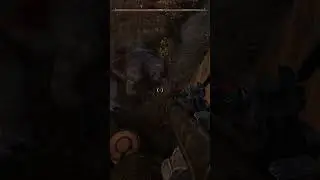 What the hell is this? #Stalker2