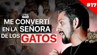 El señor de los gatos | OMAR MORENO
