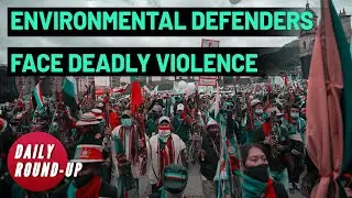 Daily Round-up|227 environmental defenders killed in record attacks in 2020 and other stories