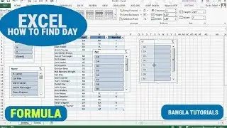 How to find  out Day Name in Excel ||  Day Formula | Excel