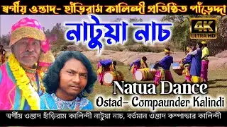 Natua Dance Purulia Hariram kalindi || Panredda Balarampur || Manbhum Jhumoir Akhra
