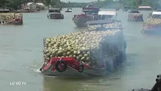 Ghe chở Trấu va vào thành cống.ghe sà lan đua nhau vượt cống.quá kịch tính