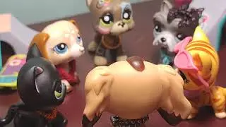 LPS: Любовь по контракту 14 серия {Конец!}