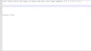 Java - I/O Text Files and Binary Files Overview