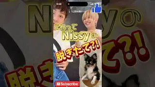 Nissyに言われるとなんか嬉しいw距離感楽しいTVショッピングww #Instagramlive #chihuahua #shorts