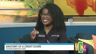 Anatomy of a Credit Score
