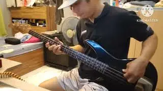 Warpigs black sabbath bass cover 