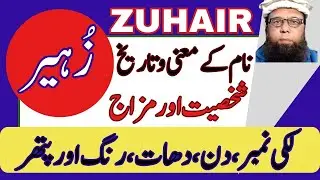 ✔️ ✔️ Zuhair Name Meaning | Zohair Name Meaning in Urdu, Hindi & English | Islamic Boy Names زُہیر