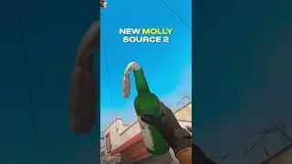 Molotov + Animations in Counter Strike 2. Source 2 Engine #counterstrike2 #Source2 #csgo2