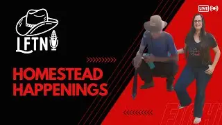 Hijacked By A Shepherd Redneck Homestead Happenings