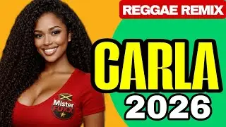 MEL&Ocirc; DE CARLA 2026 - REGGAE REMIX | DJ MISTER FOXX
