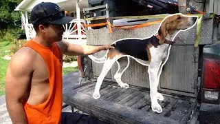 What Kind of HOUNDS do we HUNT? - Pack Update