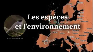 Les espèces et l’environnement