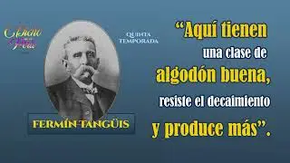 Ferm&iacute;n Tang&uuml;is: &ldquo;Aqu&iacute; tienen una clase de algod&oacute;n buena, resiste el decaimiento y produce m&aacute;s