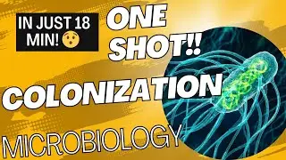 COLONIZATION || MICROBIOLOGY || B.Sc. Nursing #bscnursing #microbiology #colonization
