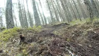 Abernethy trails edit