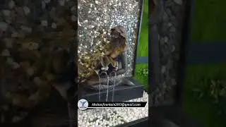 akshar fountain || indoor design ideas || fountain || waterfall # shorts