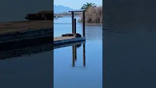 lazy day California delta