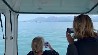 Humpback Whale. Bubblenetting