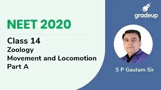 Movement and Locomotion | Human Physiology | NEET Biology | NEET 2020 | Gradeup NEET