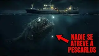 Por qu&eacute; los barcos pesqueros NO PESCAN en las PROFUNDIDADES del abismo | Documental