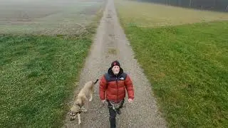 🥰Walk with Dog in the Fog...Filmed by Dji NEO 2🕉