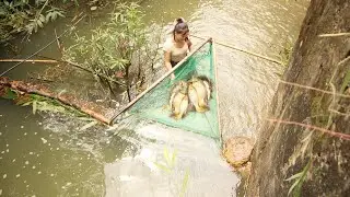 Amazing Fishing Traps, Girl Unexpectedly Traps a Giant Basket of Fish