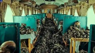 Infected Rat Disaster _Film Explained in Hindi_Urdu Summarized हिन्दी | Gloomix 