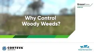 Why control Woody Weeds - Introduction