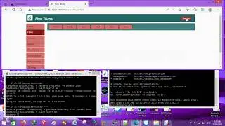SDN RYU Mininet DDOS - HPING3 TOOL small Notes Video 2 شرح عربي