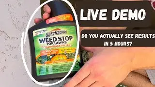 Spectracide Weed Stop For Lawns | Remove Crabgrass Easily