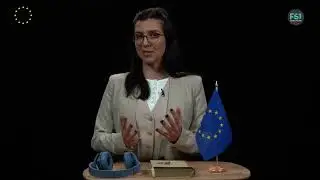 In 12 Fakten zur EU Wahl | Parlamentarische Anfragen und Rechenschaftspflicht | FS1