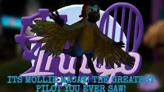 ITS MOLLIE MACAW! | INDIGO PARK 
